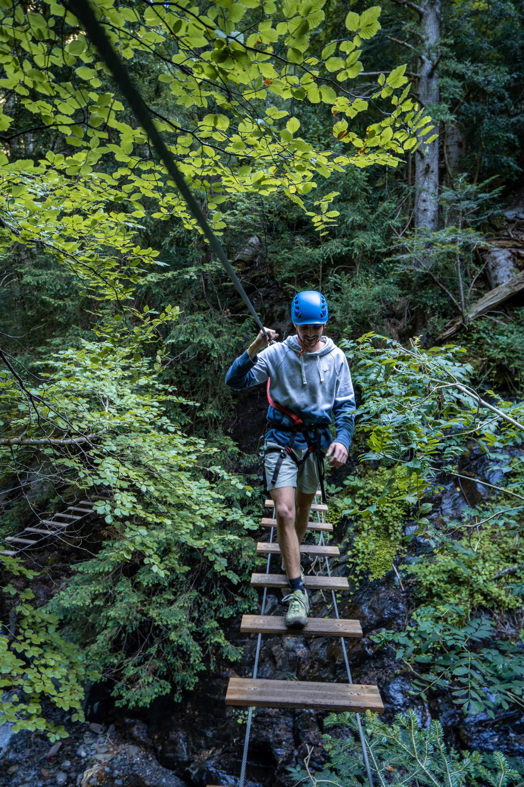 Tree-climbing adventure park