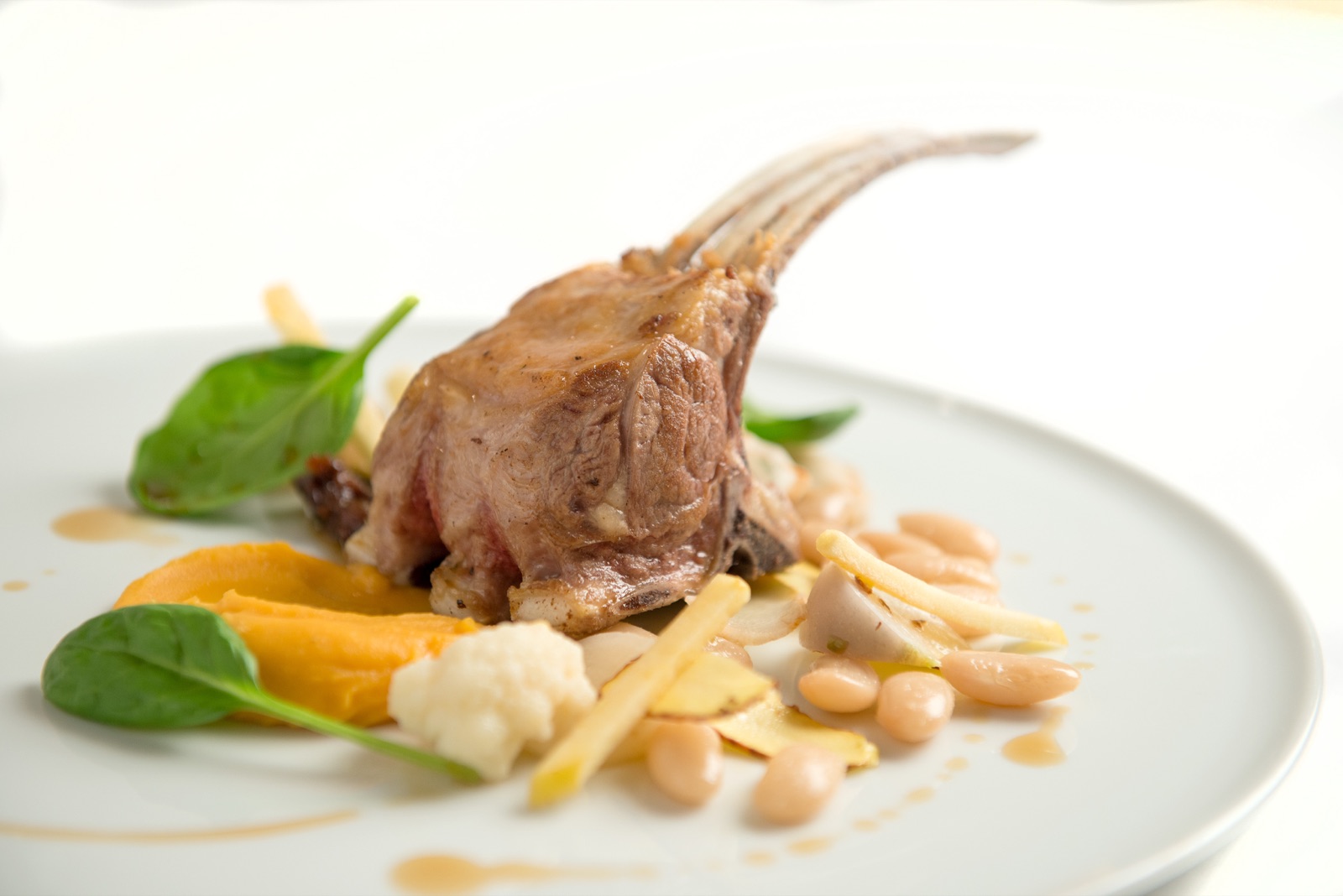 Tarbais beans with veal, Pyrenean plated dish